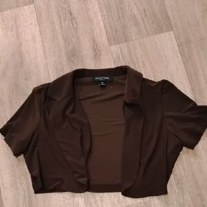 Perceptions Dark Brown Crop Top